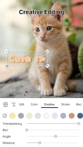 Text on Photo: Text Editor screenshot 3