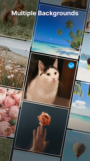 Text on Photo: Text Editor screenshot 4